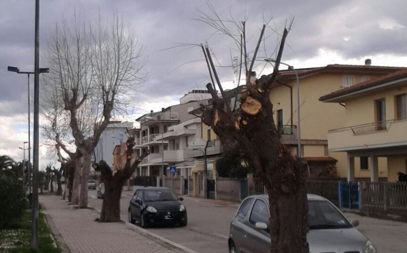 Giulianova. Gestione del verde a Giulianova. Sindaco e Amministratore della Giulianova Patrimonio replicano al Conalpa.