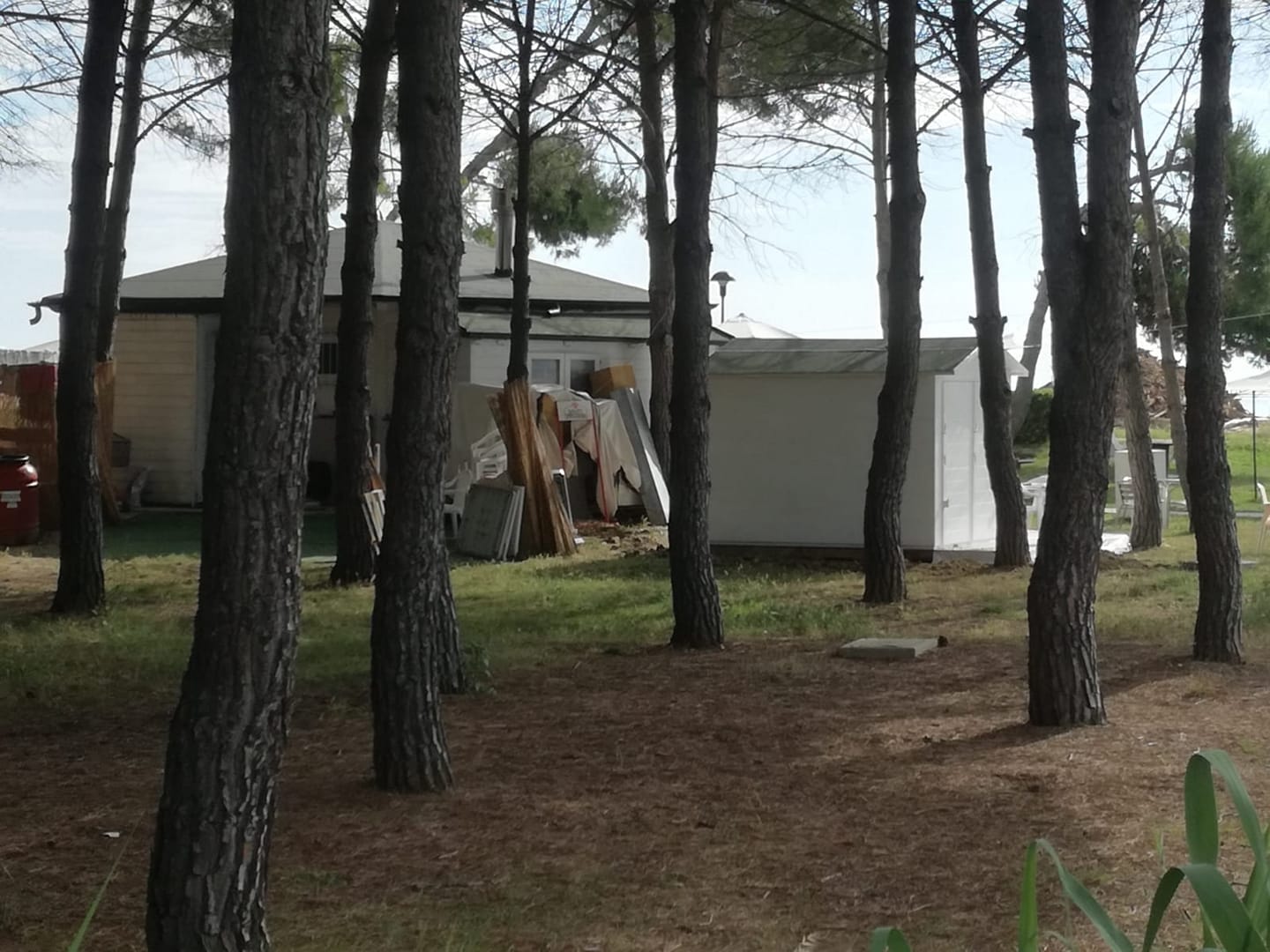 Bloccati perché abusivi i lavori su un chiosco all’interno della Pineta nord. Il relativo sopralluogo era stato sollecitato dal sindaco.
