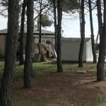 Chiosco nella pineta nord. Dopo la sospensione dei lavori arriva la diffida al ripristino dei luoghi.